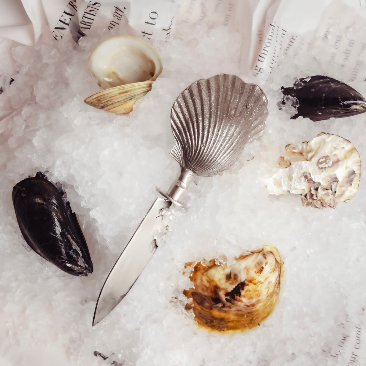 Shell Oyster Knife