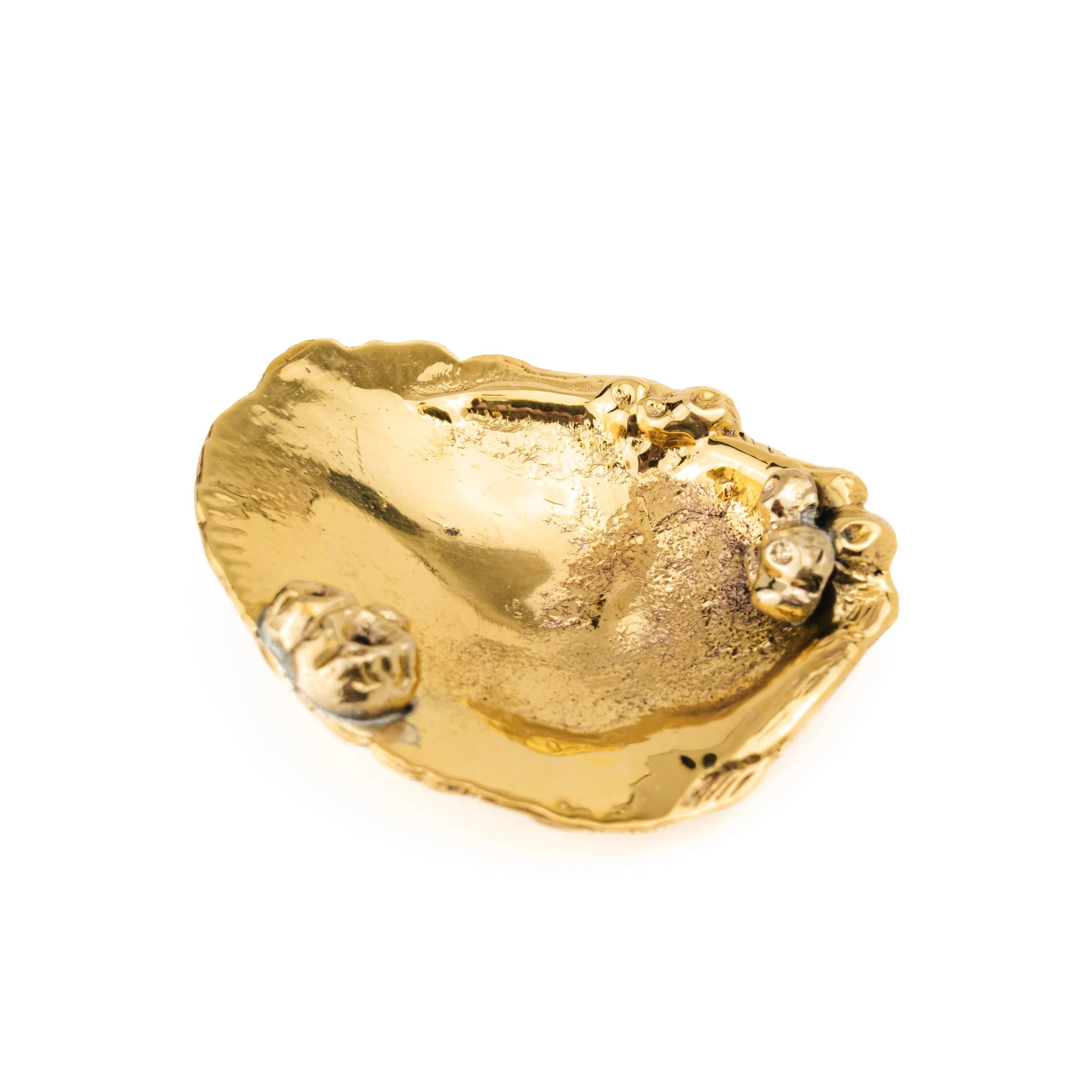 Barnacle Salt Dish
