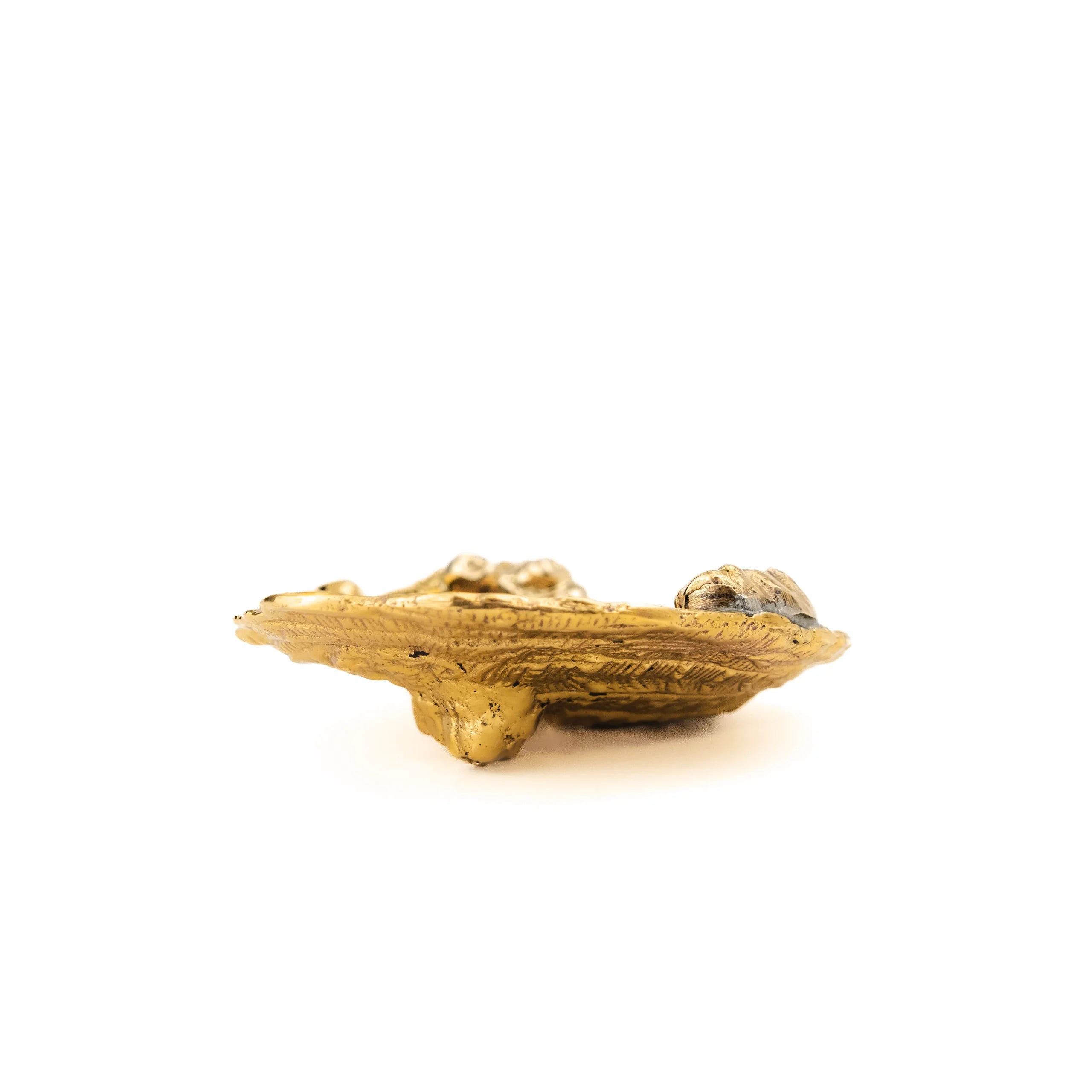 Barnacle Salt Dish
