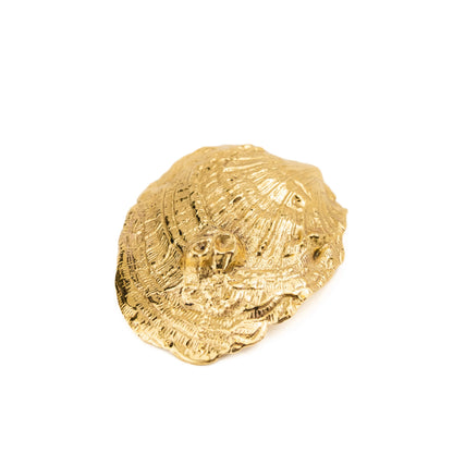 Barnacle Salt Dish