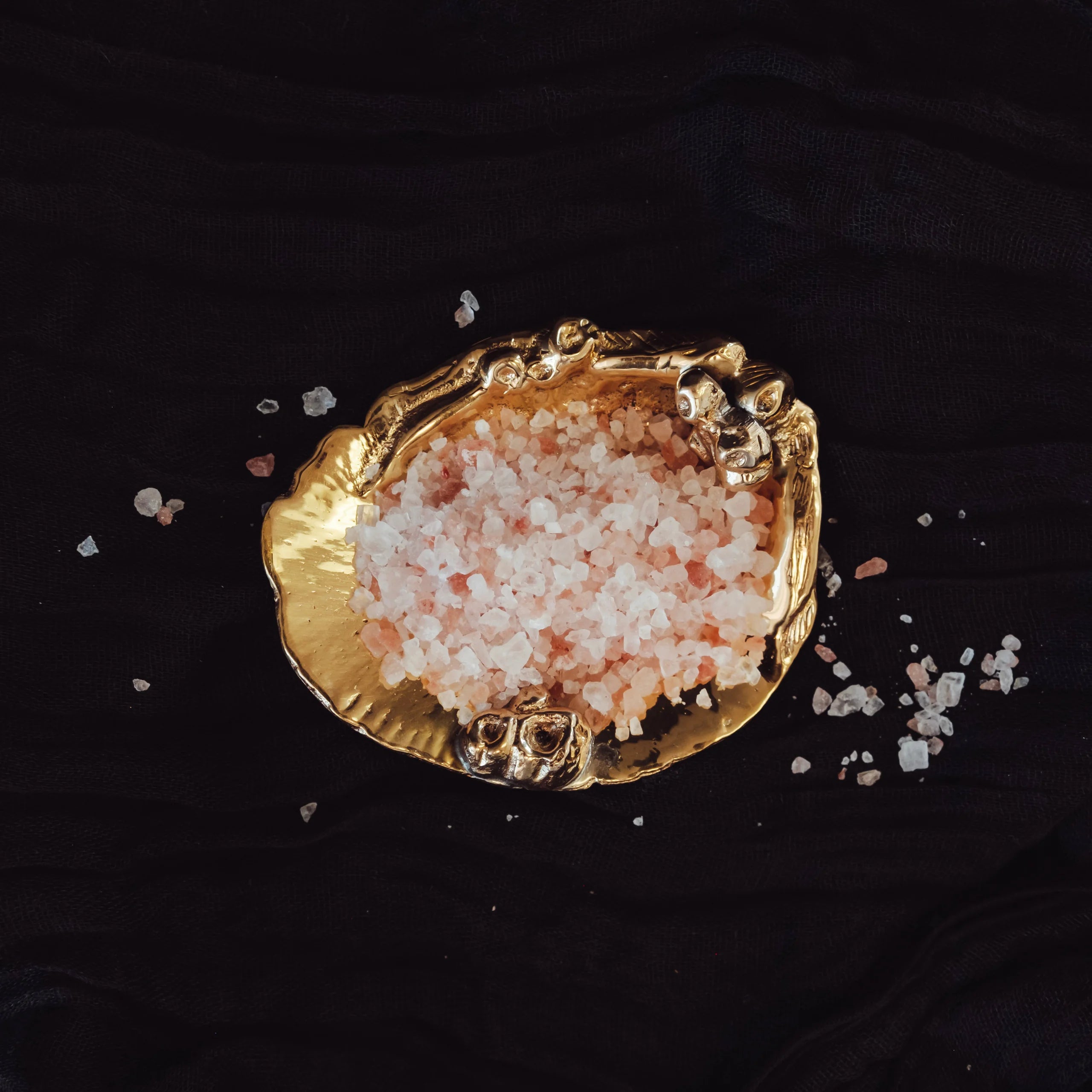 Barnacle Salt Dish