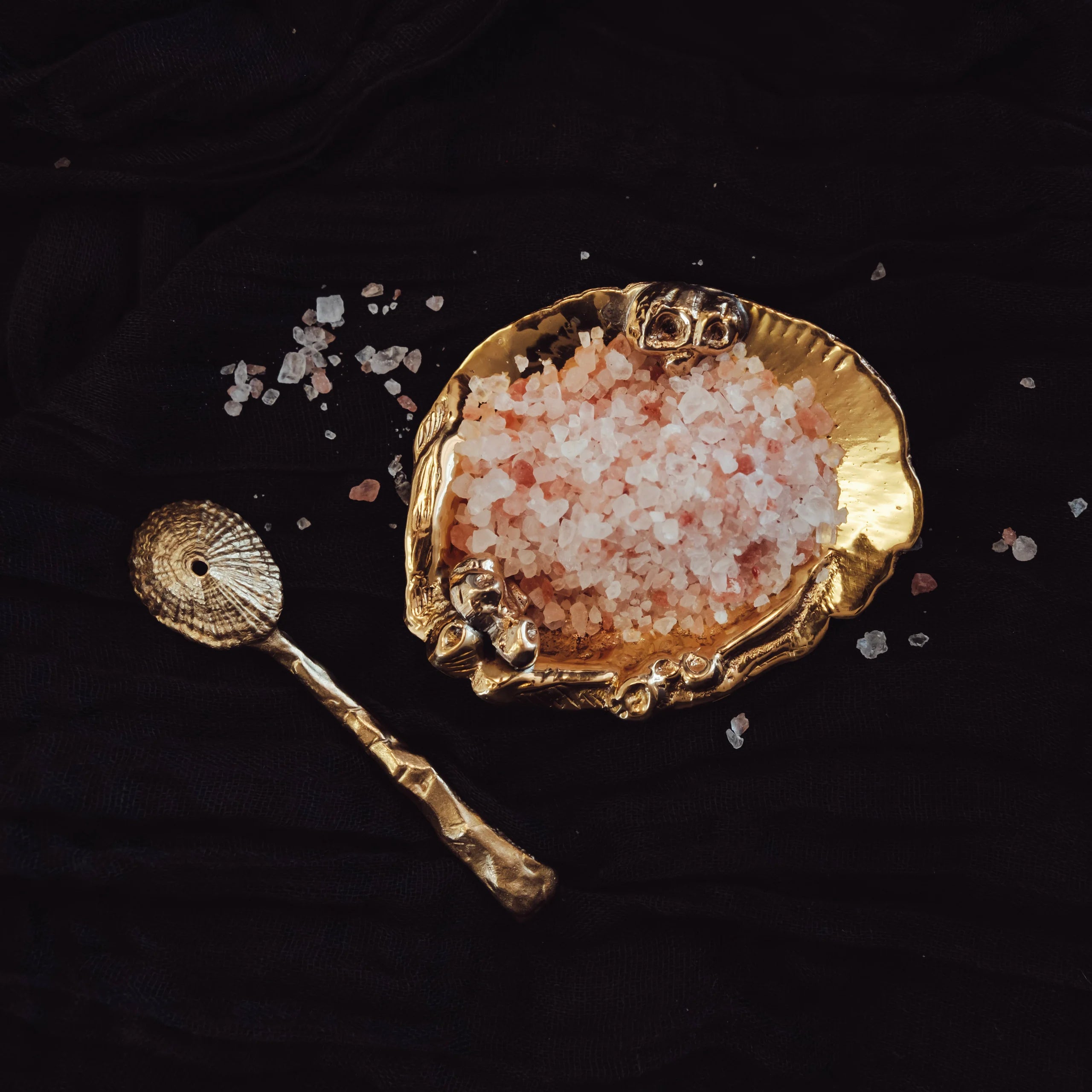 Barnacle Salt Dish