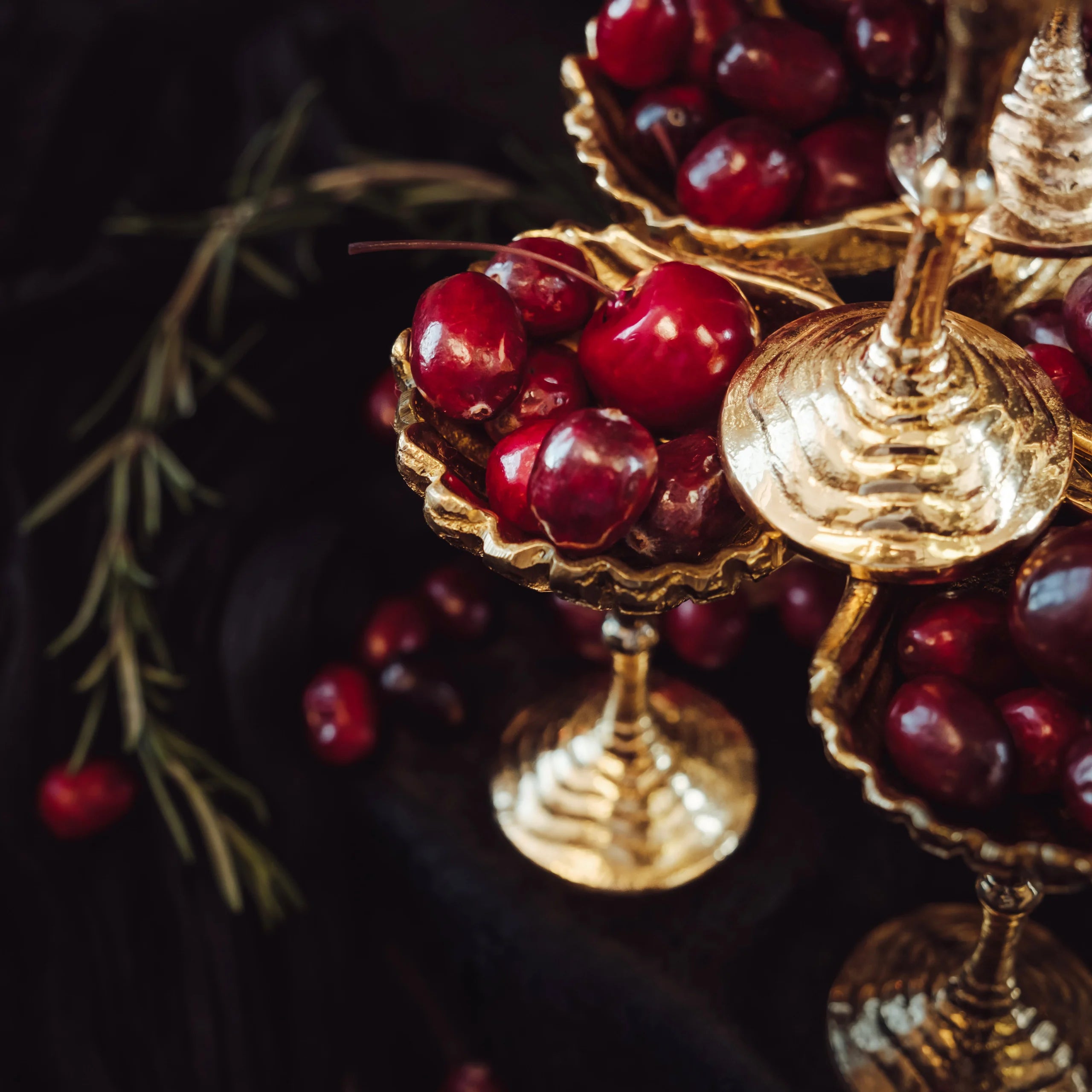 Shell Cordial- Brass
