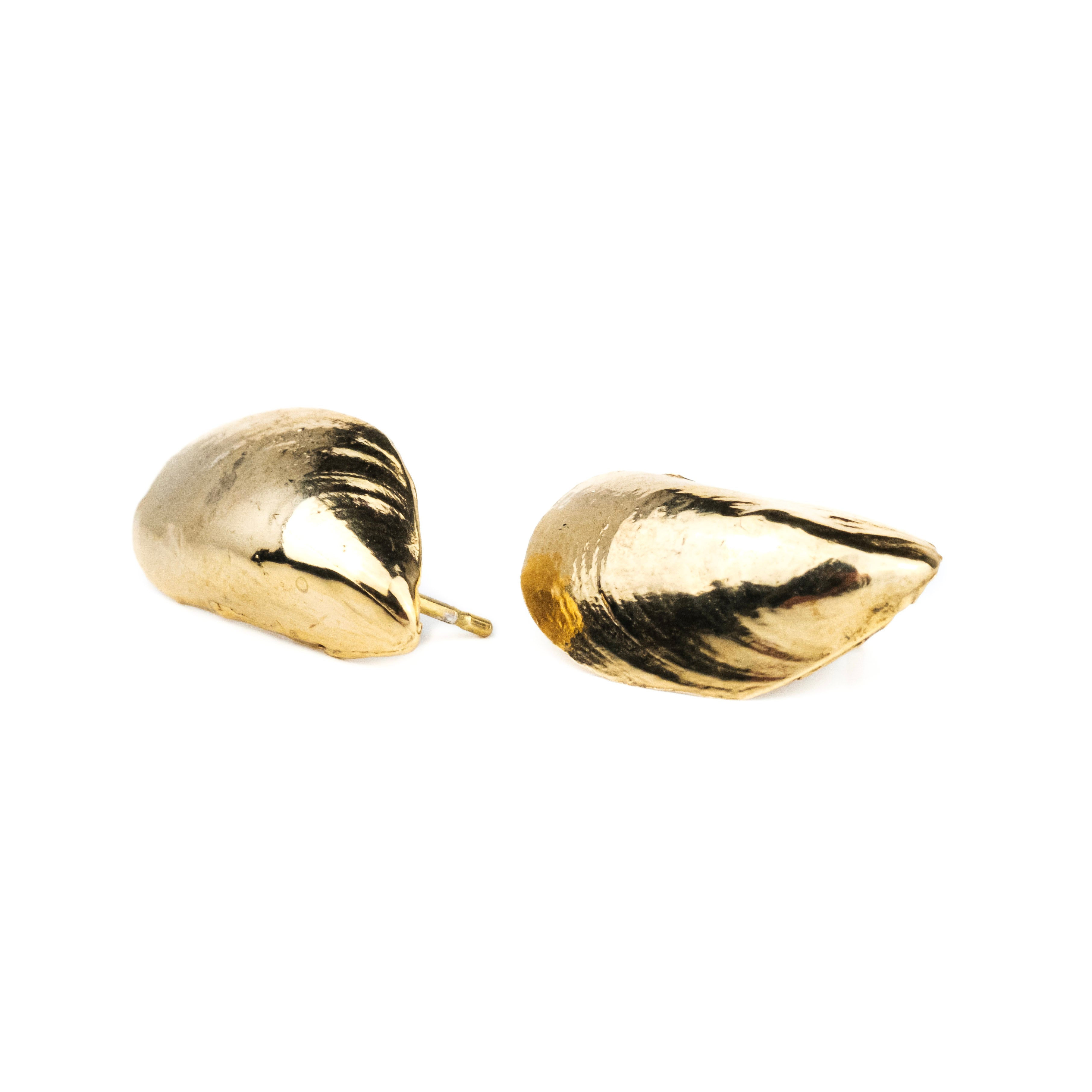 Mollusk Studs: 10k Gold
