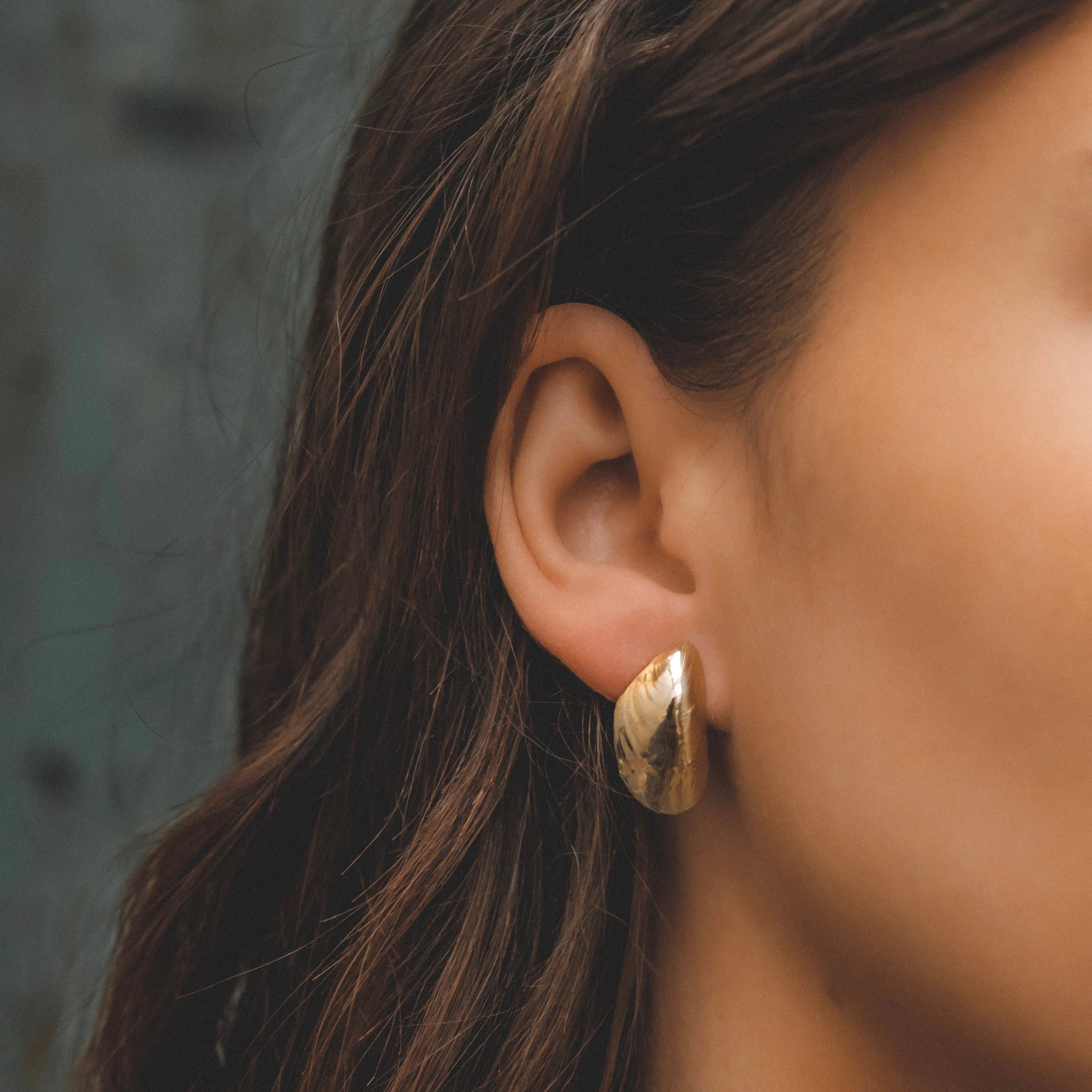 Mollusk Studs: 10k Gold