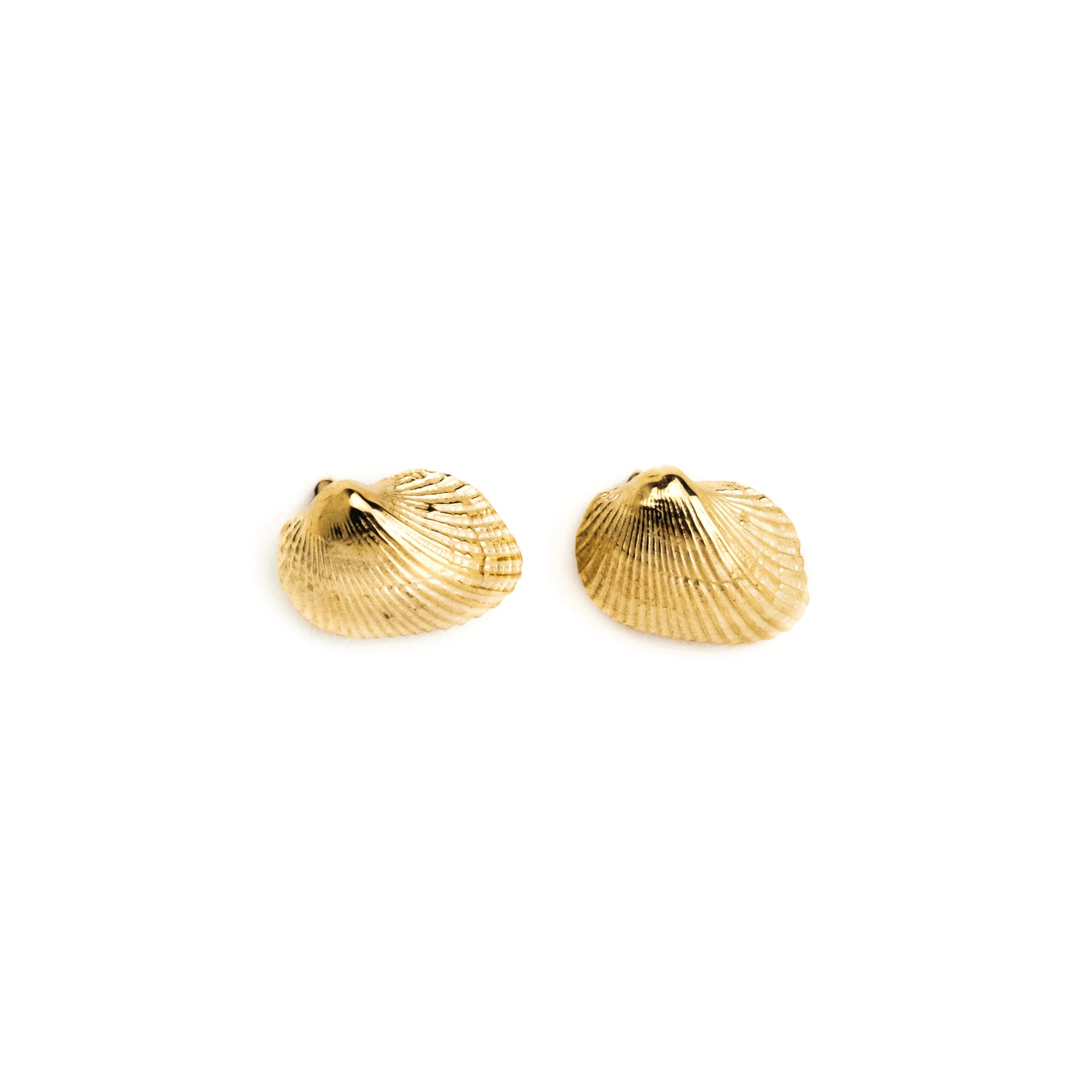 Eleanor Shell Studs: 10k Gold