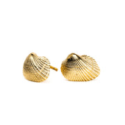 Eleanor Shell Studs: 10k Gold
