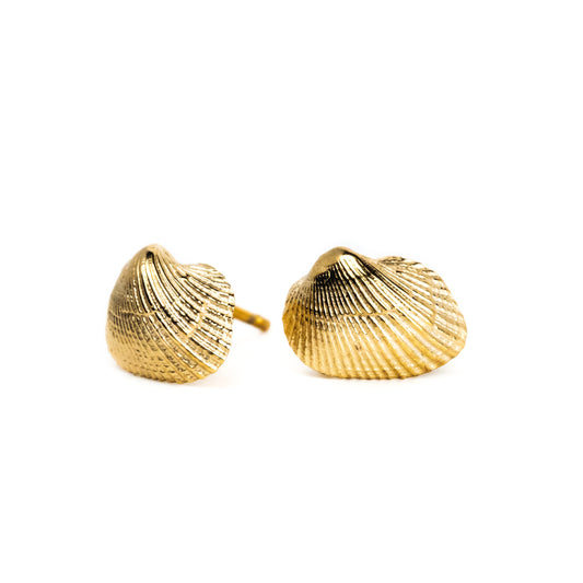 Eleanor Shell Studs: 10k Gold