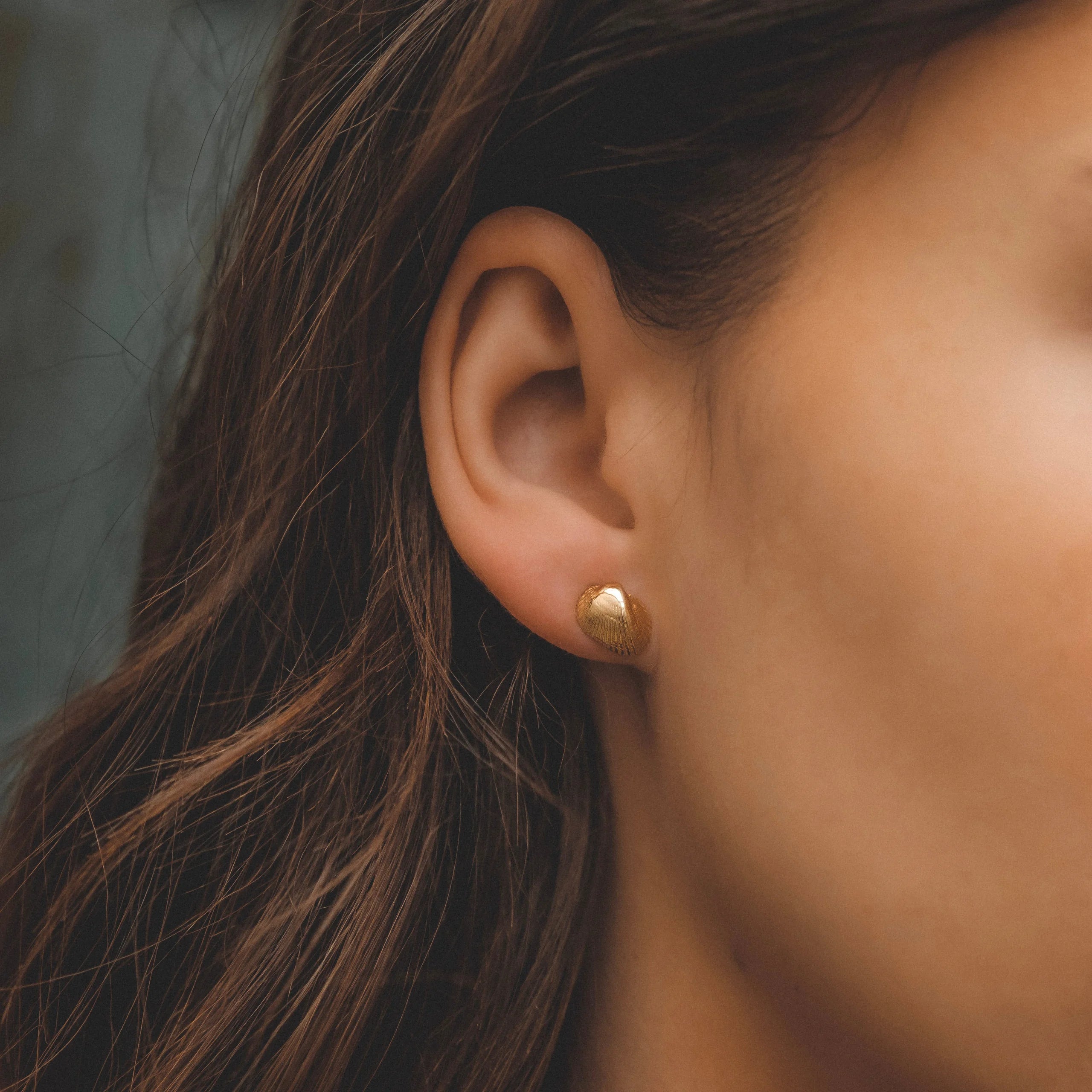Eleanor Shell Studs: 10k Gold