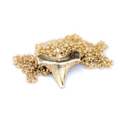 Shark Tooth Necklace: 14k Gold