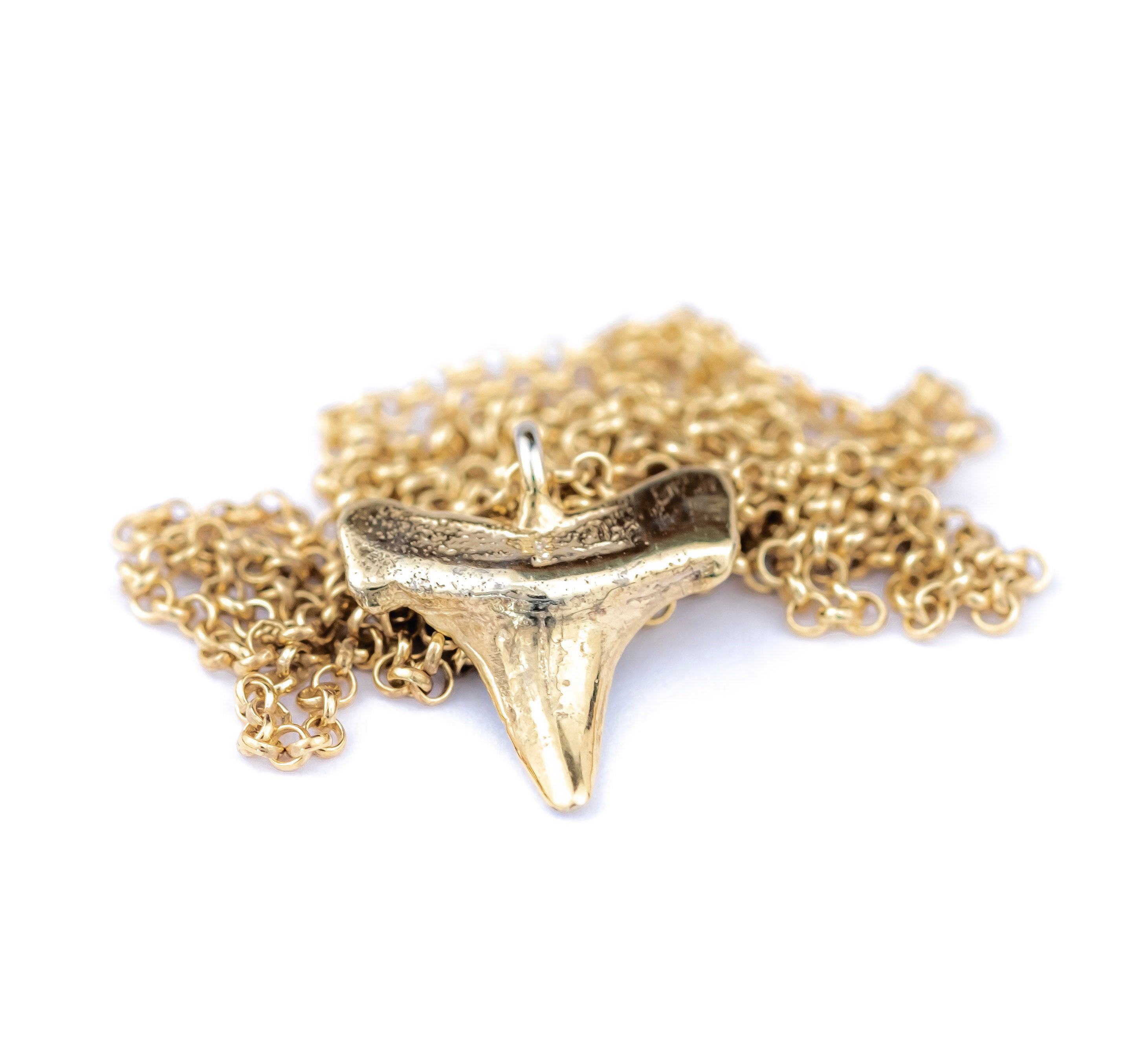Shark Tooth Necklace: 14k Gold