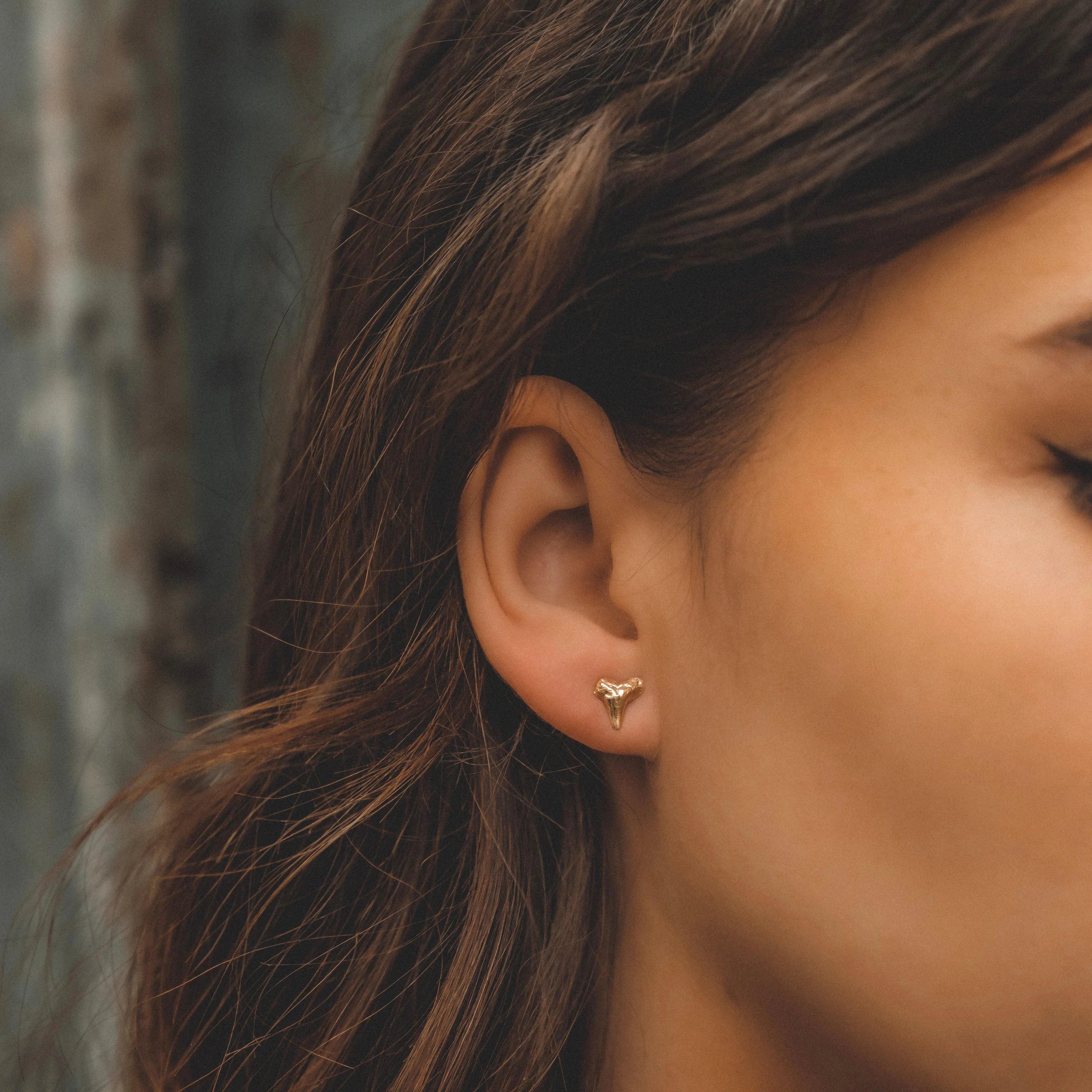 Shark Teeth Studs: 10k Gold