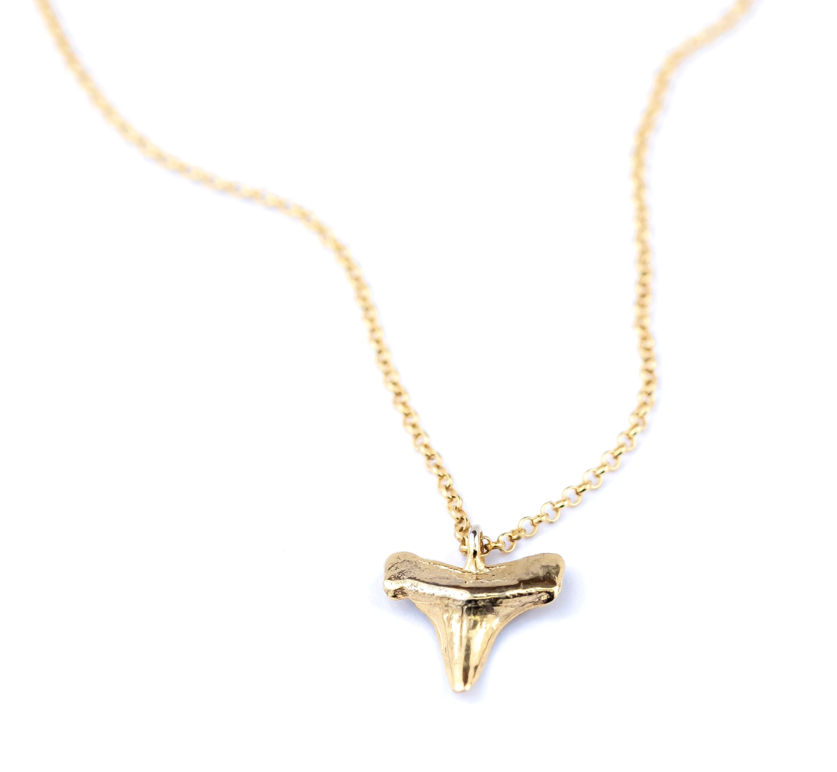 Shark Tooth Necklace: Gold PVD