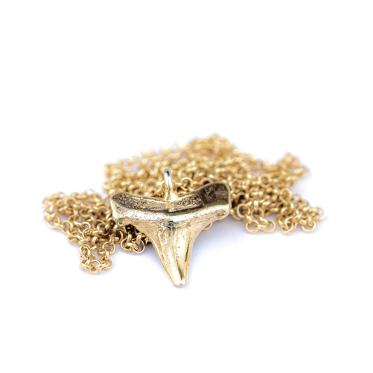 Shark Tooth Necklace: Gold PVD