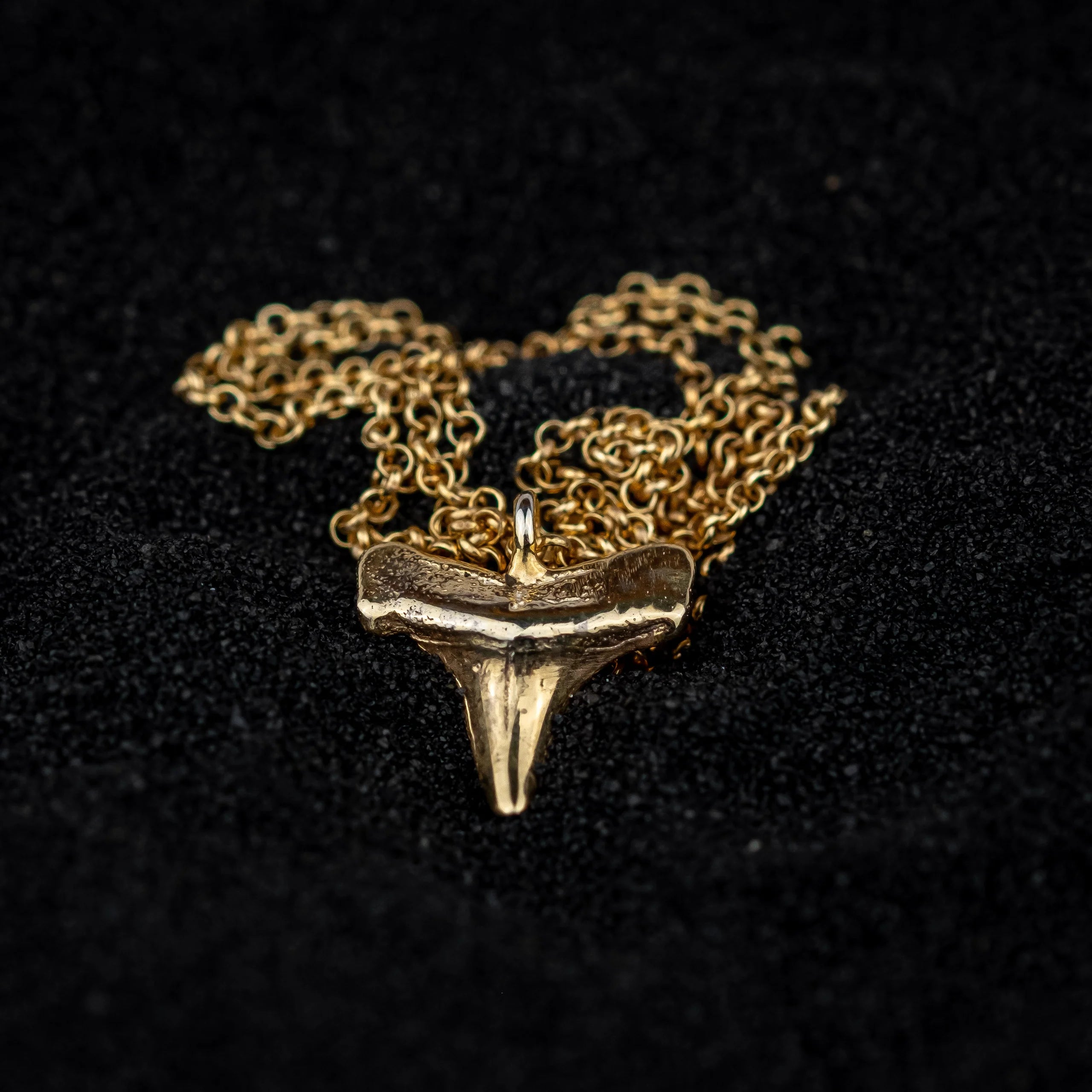 Shark Tooth Necklace: 14k Gold