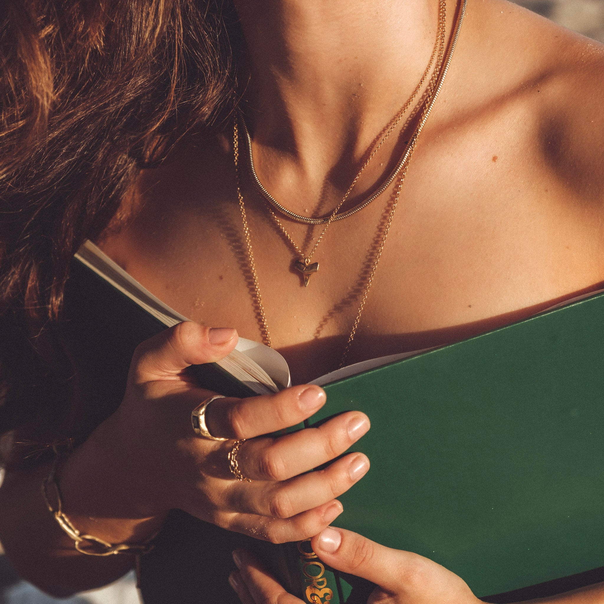 Shark Tooth Necklace: 14k Gold