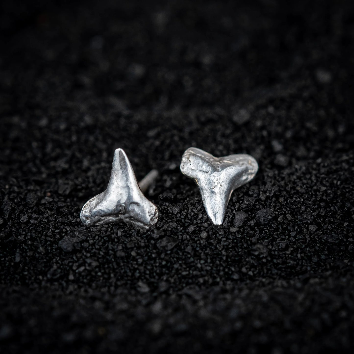 Shark Teeth Studs: Sterling Silver