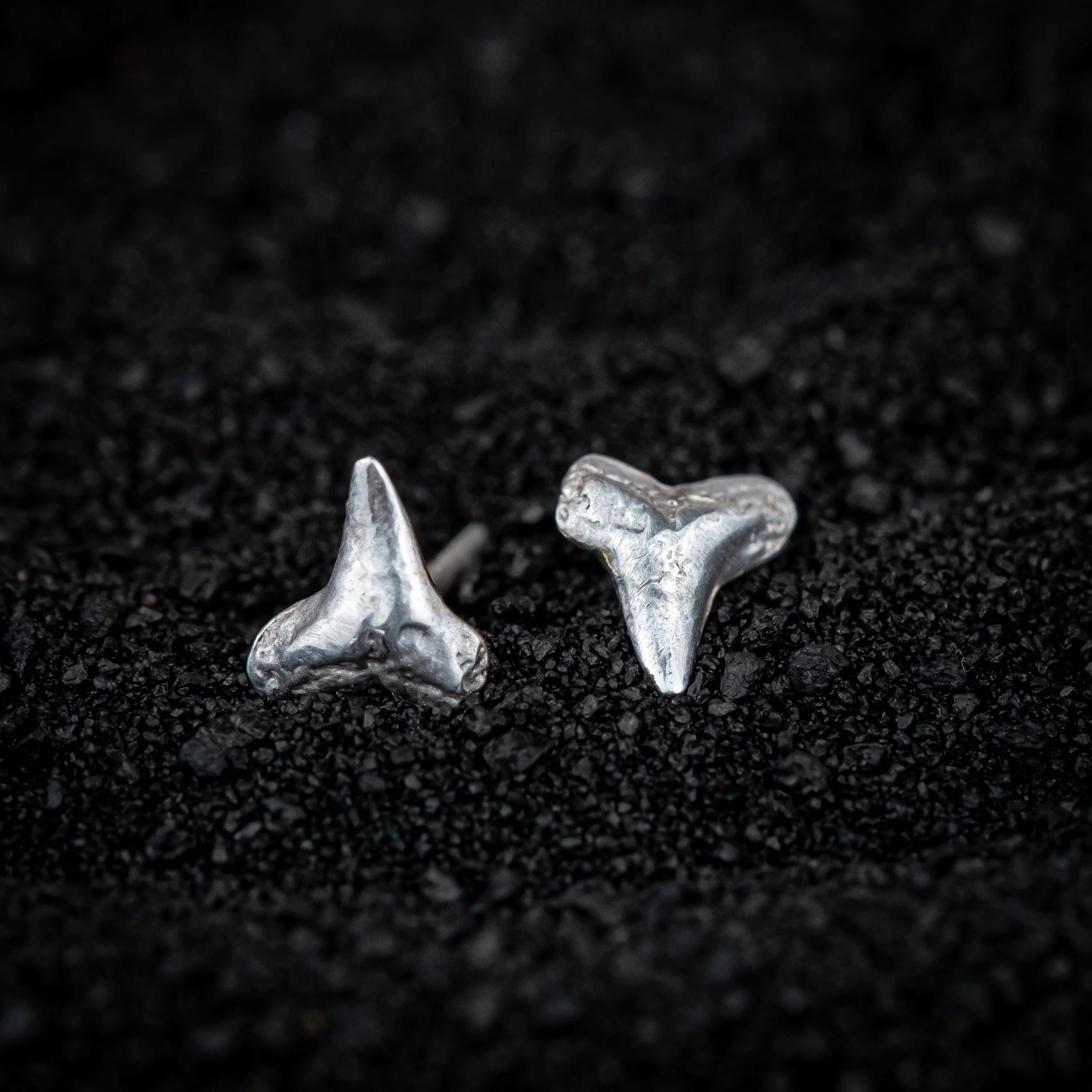 Shark Teeth Studs: Sterling Silver