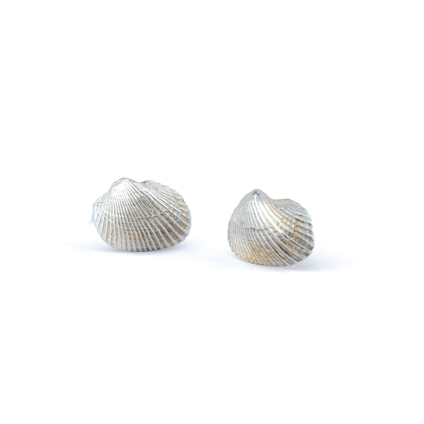 Eleanor Shell Studs: Sterling Silver