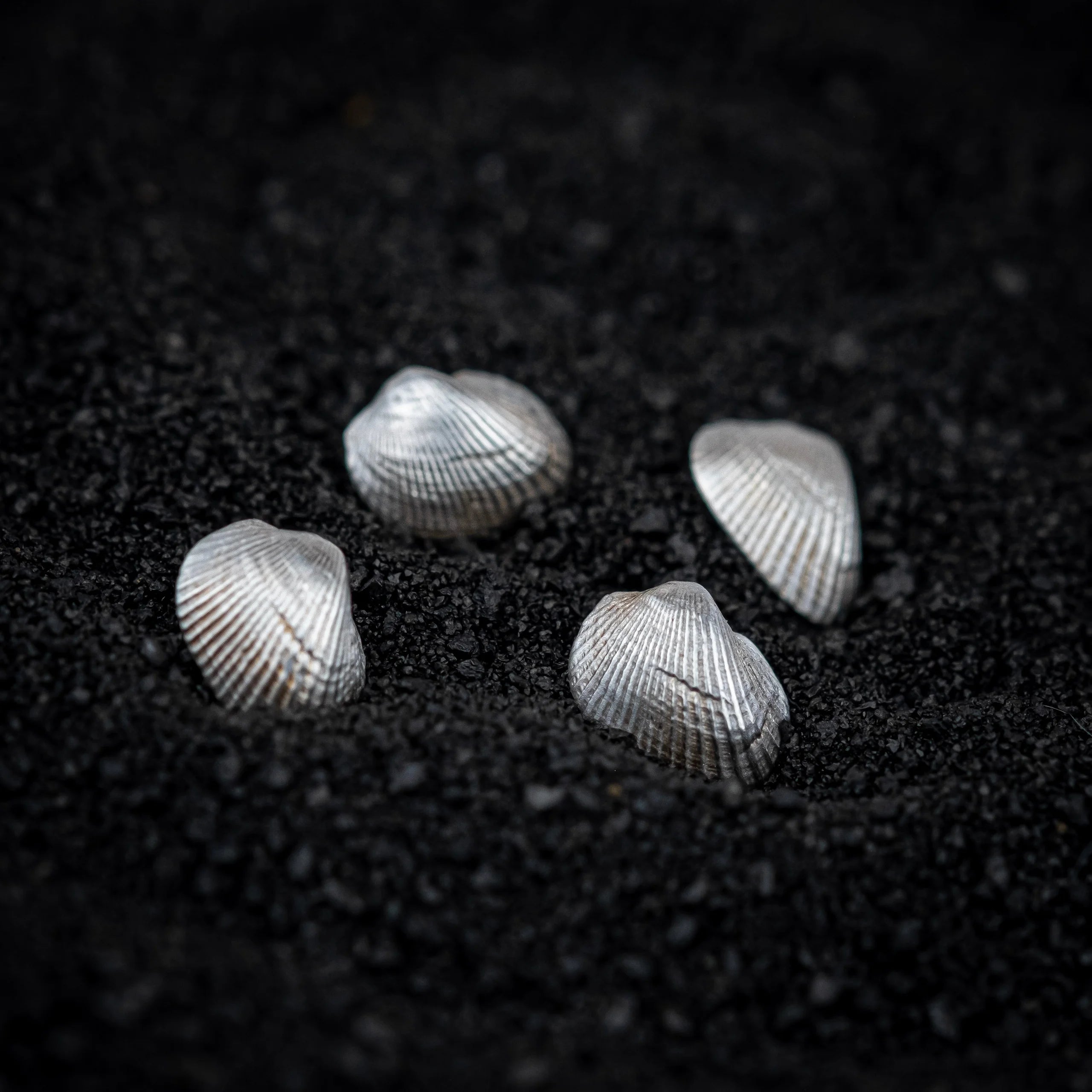 Eleanor Shell Studs: Sterling Silver