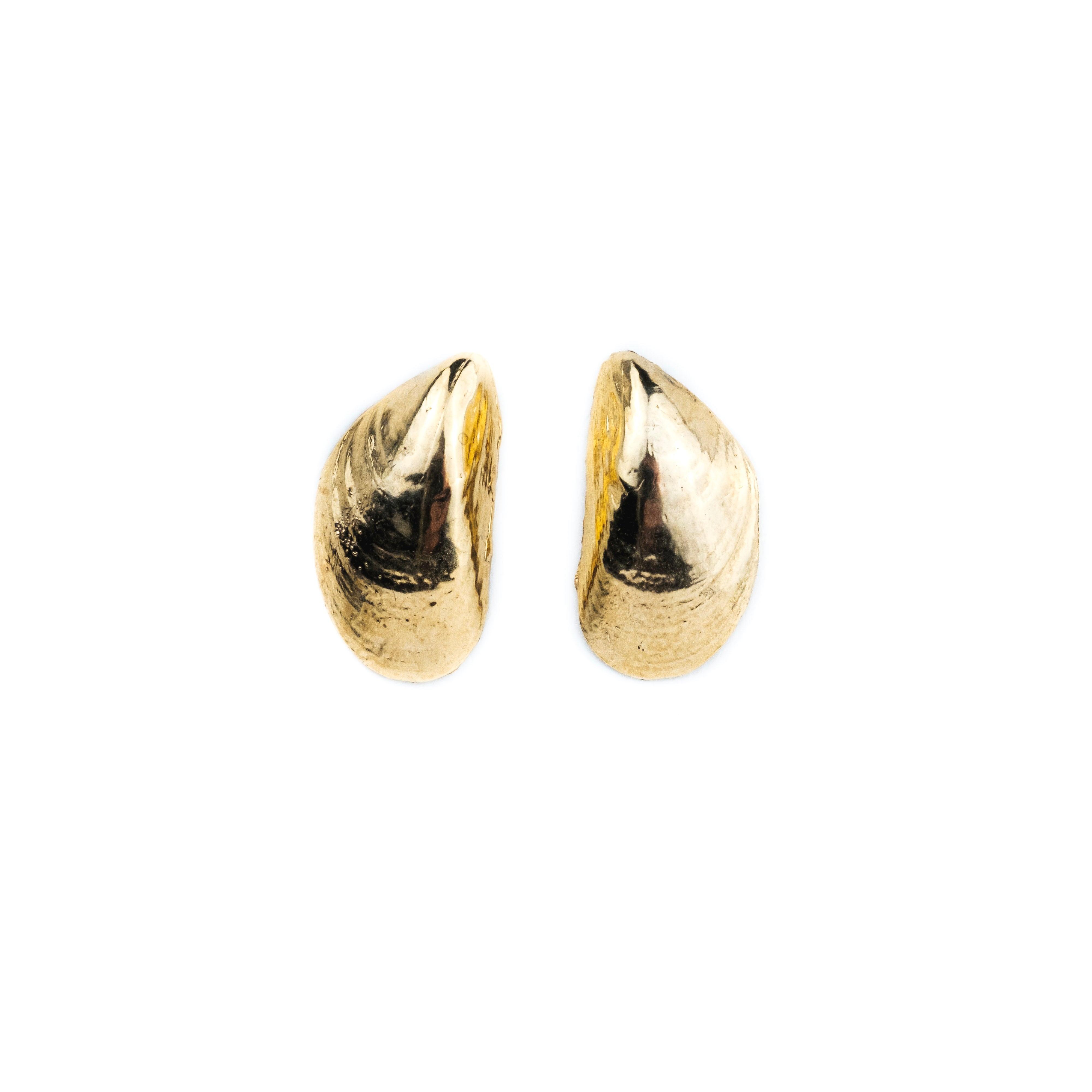 Mollusk Studs: Gold Vermeil