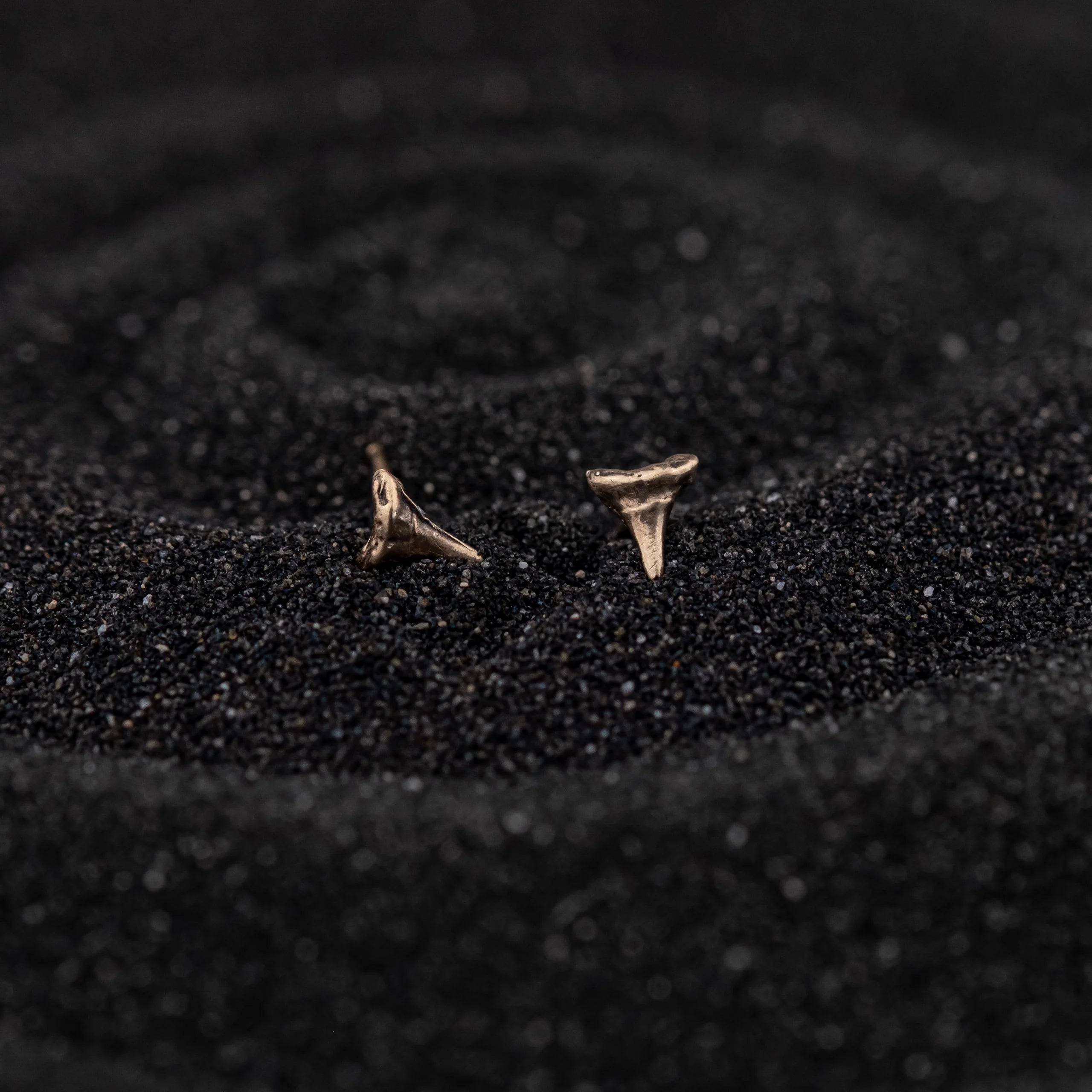 XS Shark Teeth Studs Gold PVD